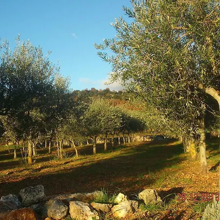 Trullo Montetrecarlini Holiday home